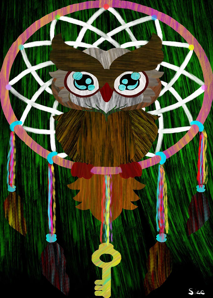 Dream catching Owl