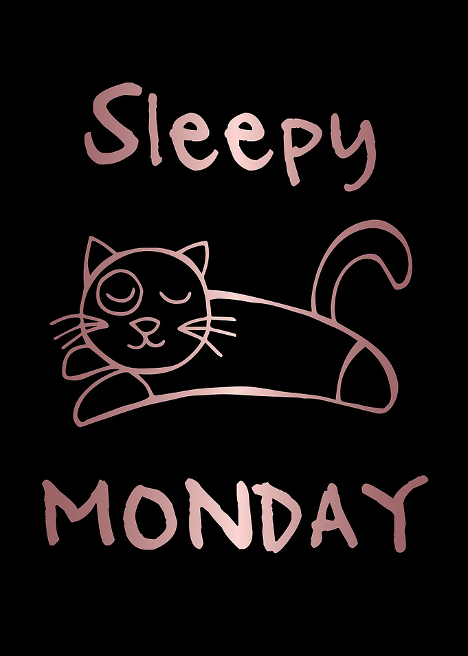 Funny Monday Cat 29