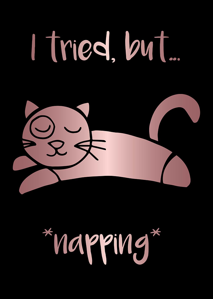 Nap Cat Animal 10