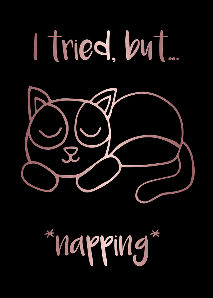 Nap Cat Animal 9