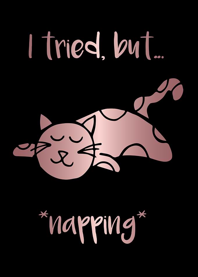 Nap Cat Animal 32