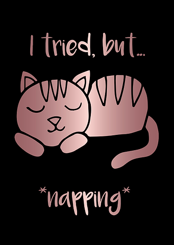 Nap Cat Animal 1