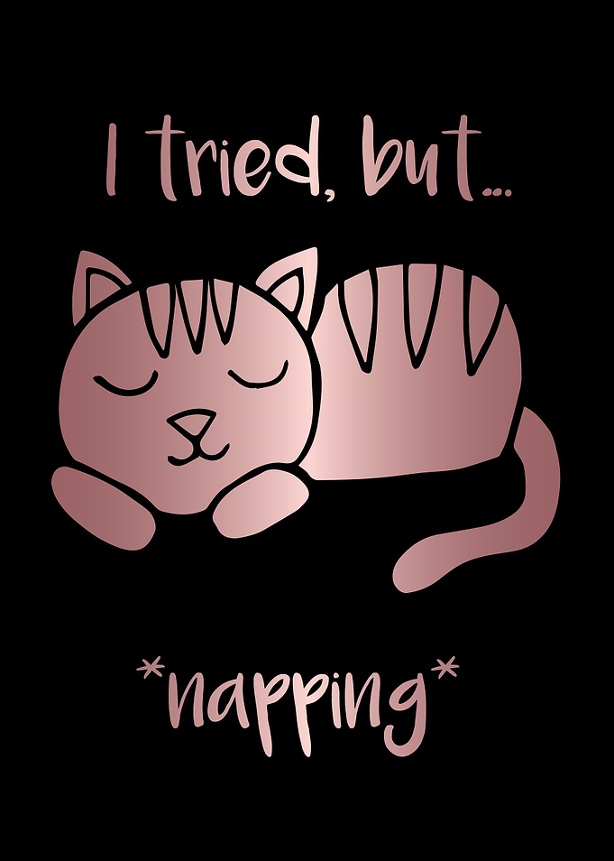 Nap Cat Animal 1