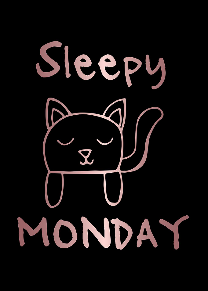 Funny Monday Cat 4
