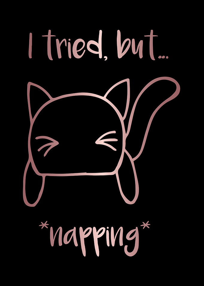 Nap Cat Animal 17