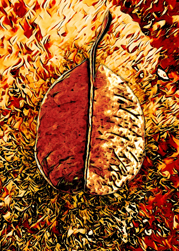 The Lonely Leaf