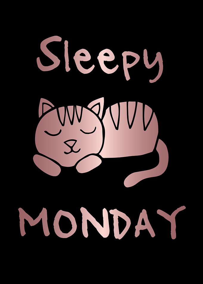 Funny Monday Cat 31