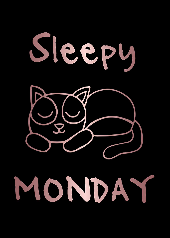 Funny Monday Cat 19