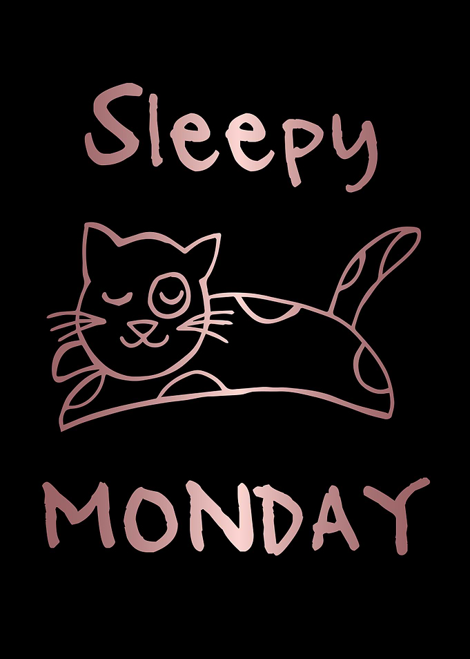 Funny Monday Cat 15