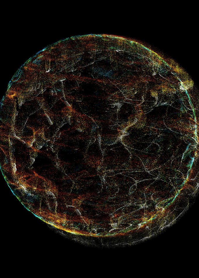 Particle Metamorphose