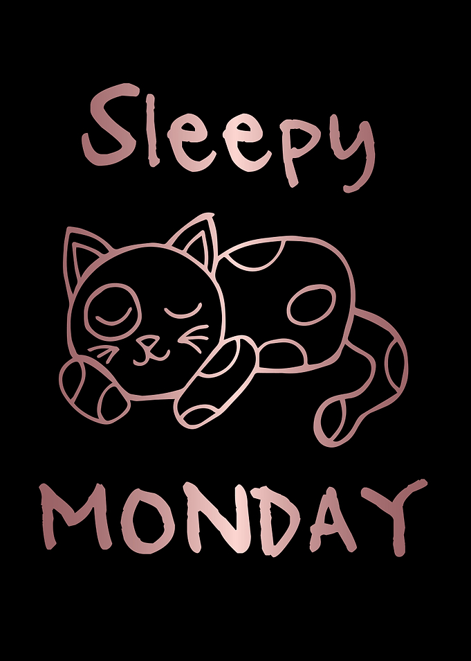 Funny Monday Cat 11