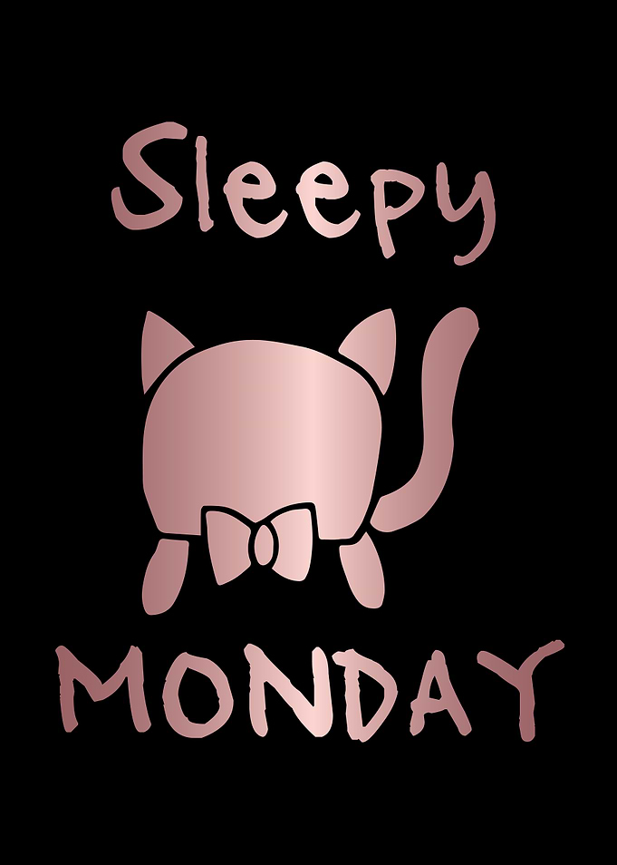 Funny Monday Cat 5