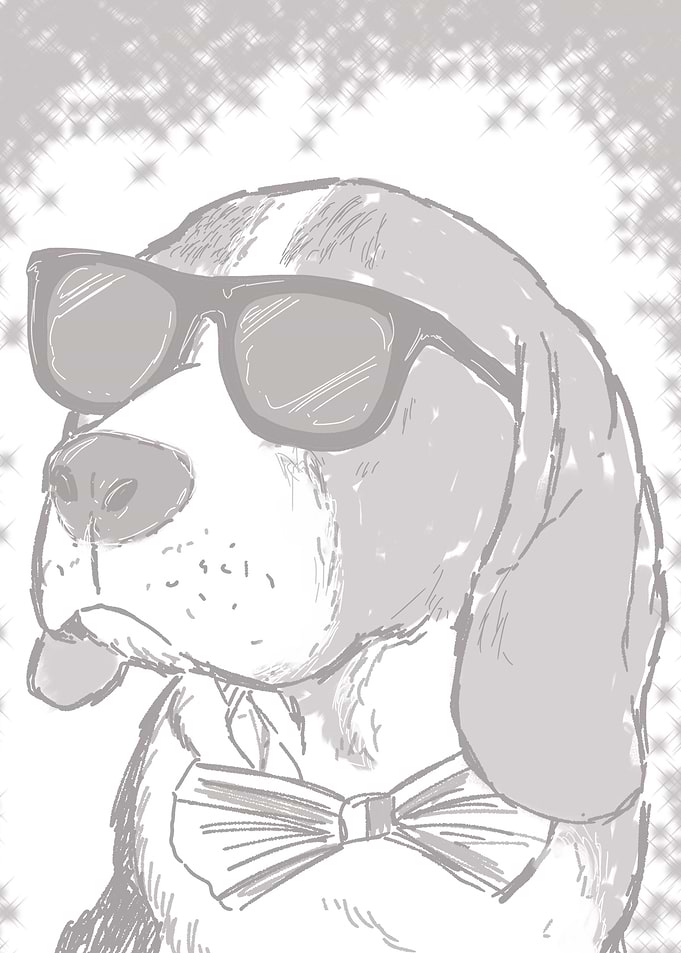 Beagle summer