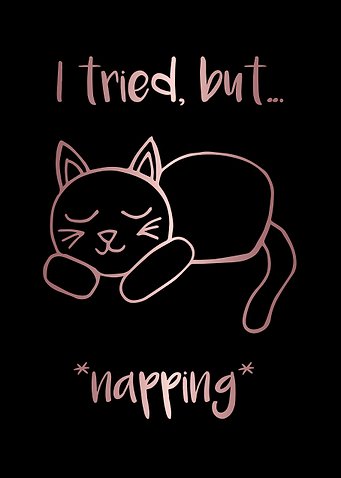 Nap Cat Animal 2