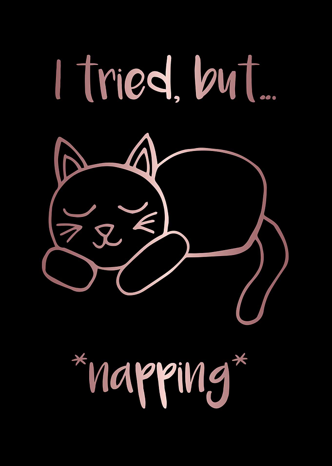 Nap Cat Animal 2