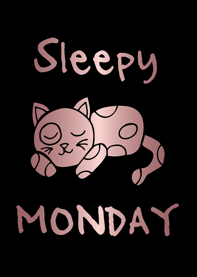 Funny Monday Cat 32