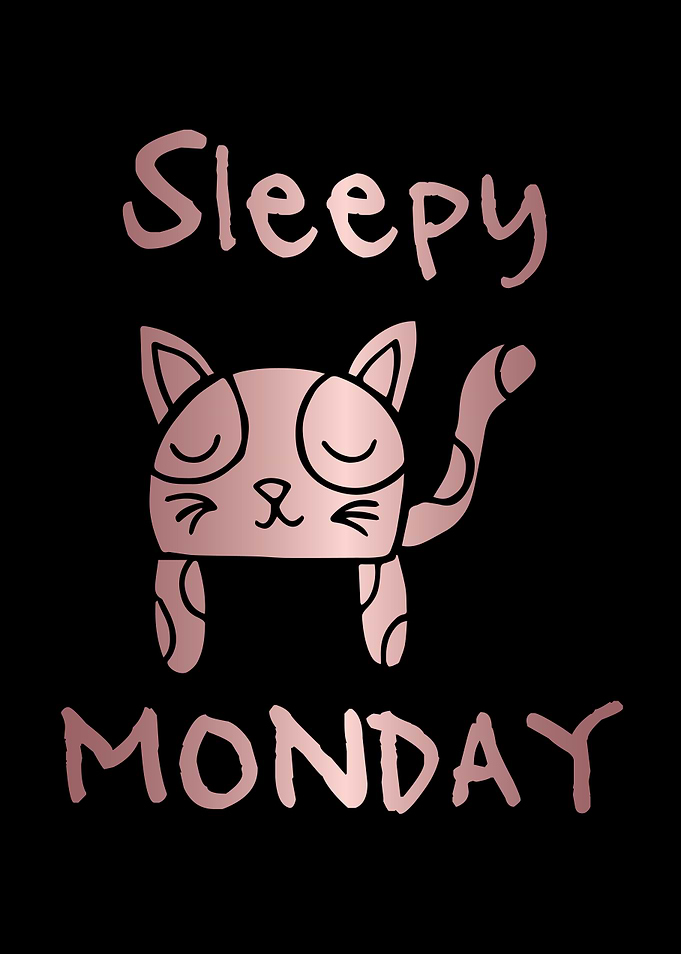 Funny Monday Cat 18
