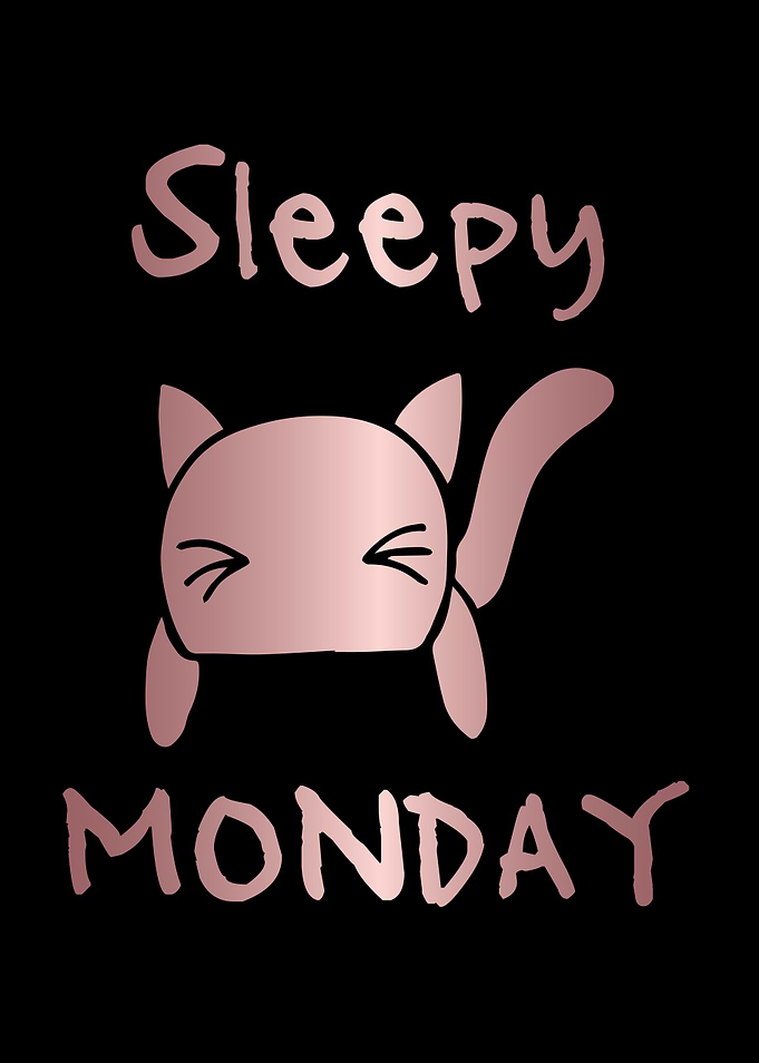 Funny Monday Cat 2
