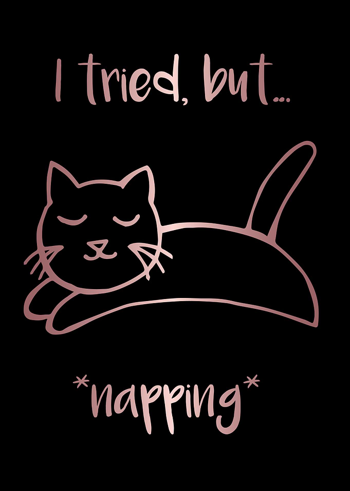 Nap Cat Animal 13
