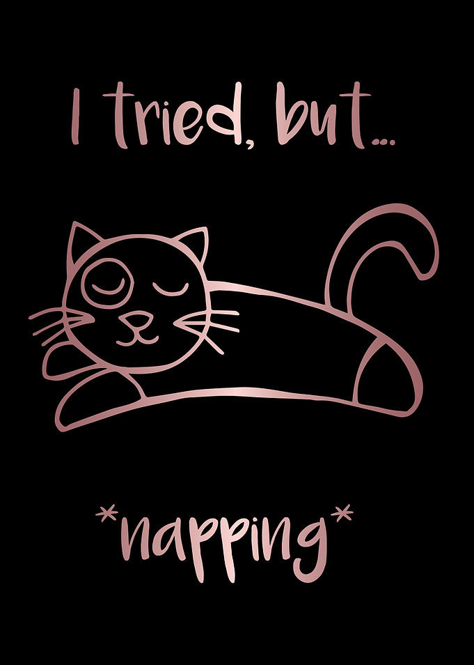 Nap Cat Animal 35