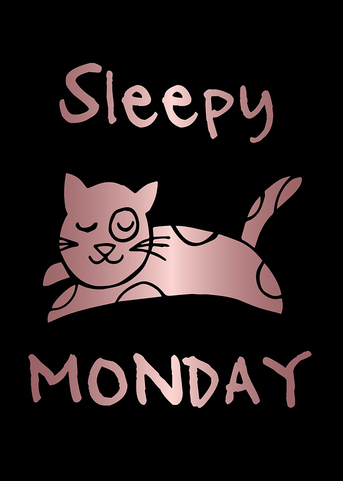 Funny Monday Cat 14