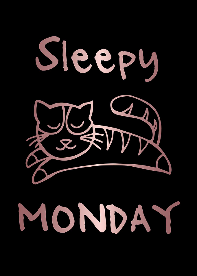 Funny Monday Cat 25