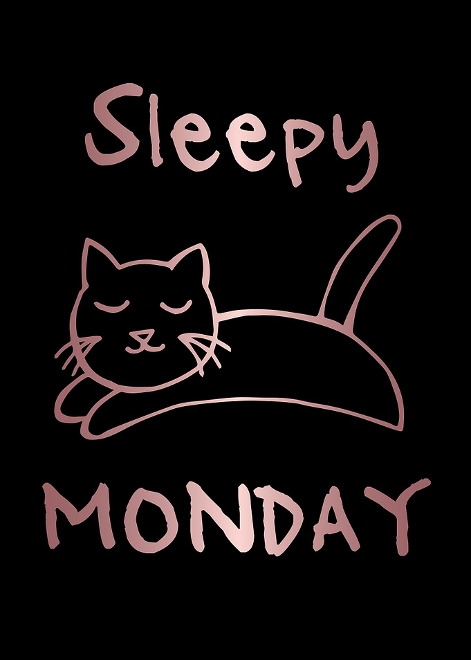 Funny Monday Cat 10