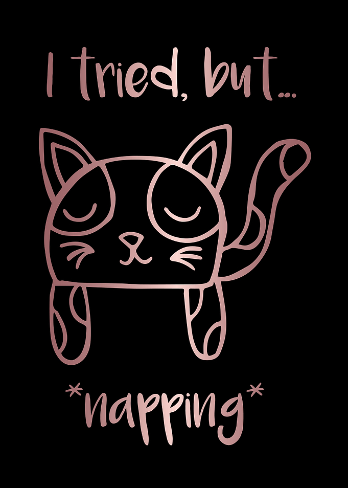 Nap Cat Animal 14