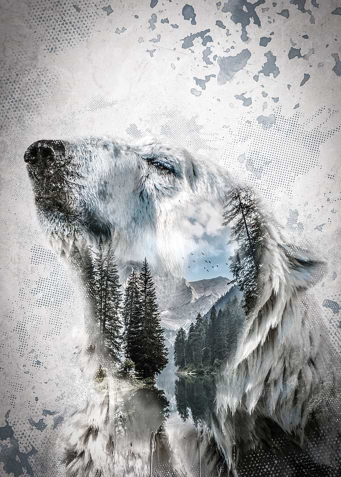 Lake Polar Bear