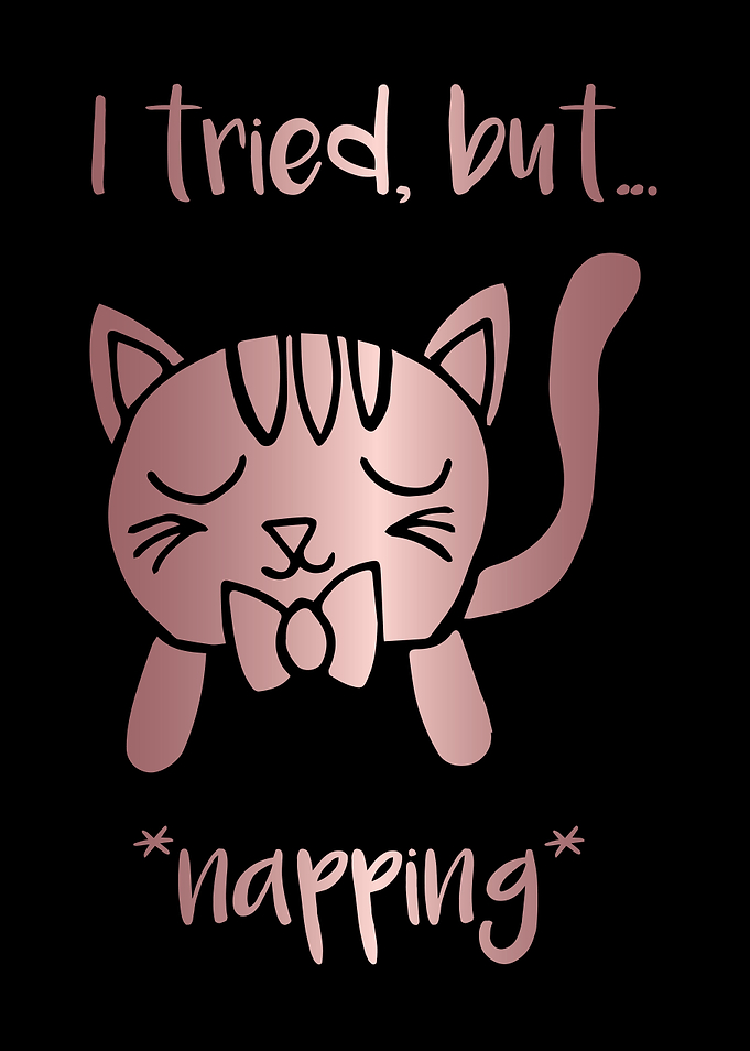 Nap Cat Animal 20