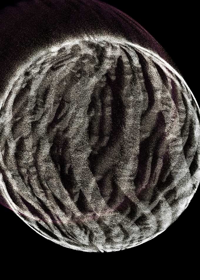 Particle Metamorphose