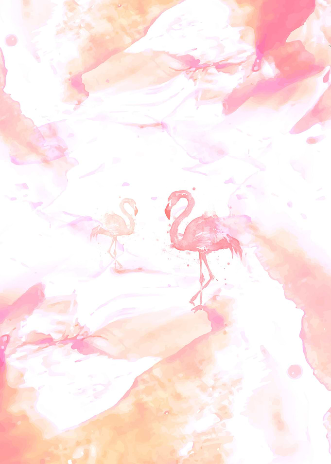 Sunset Stork 2