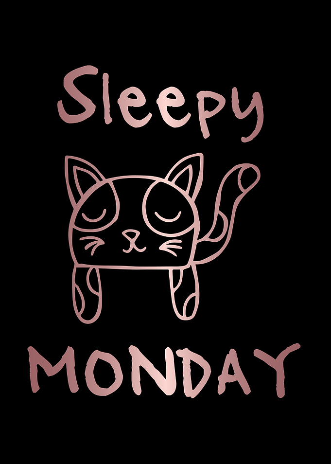 Funny Monday Cat 21