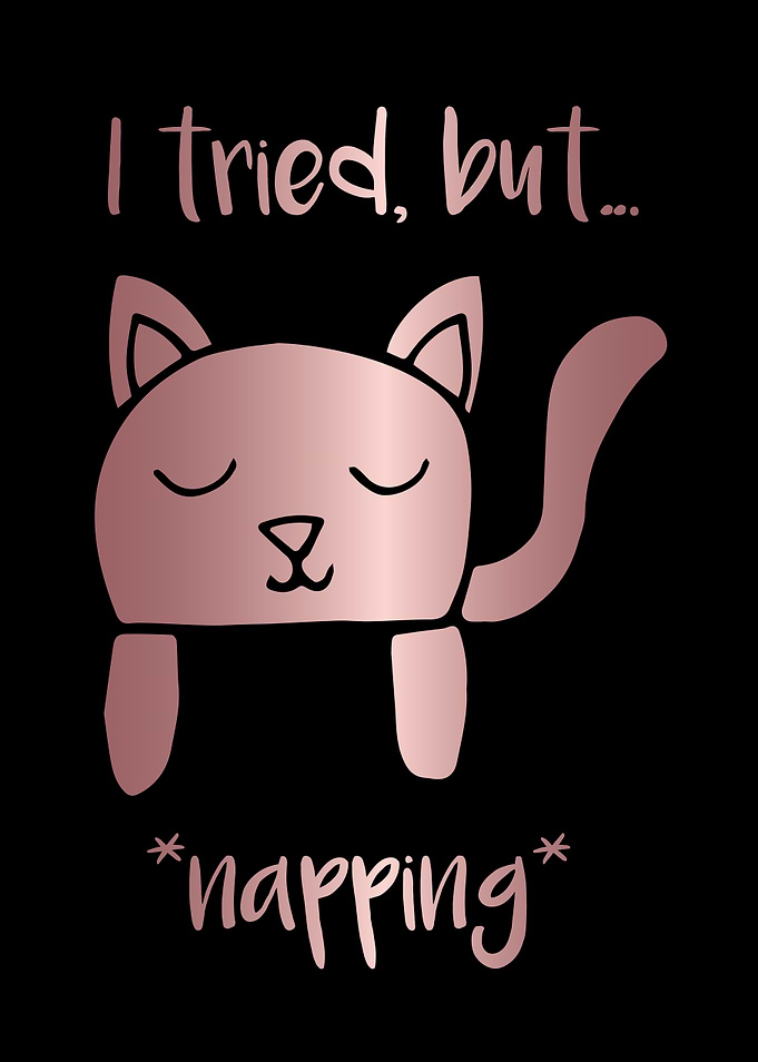 Nap Cat Animal 28