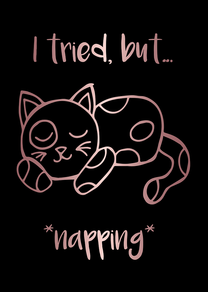 Nap Cat Animal 11