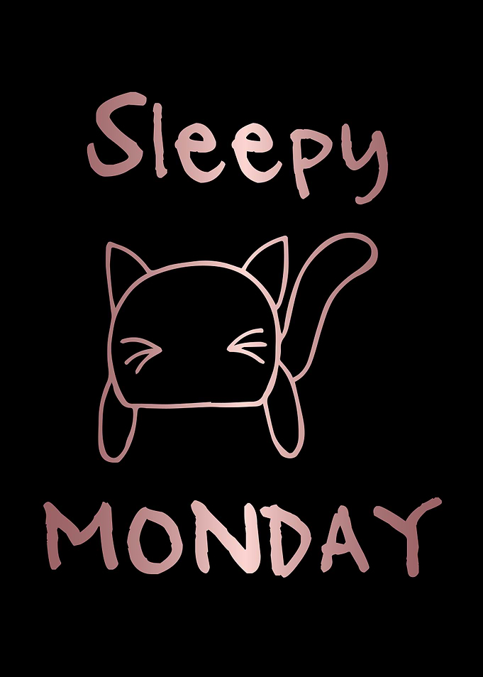Funny Monday Cat 1