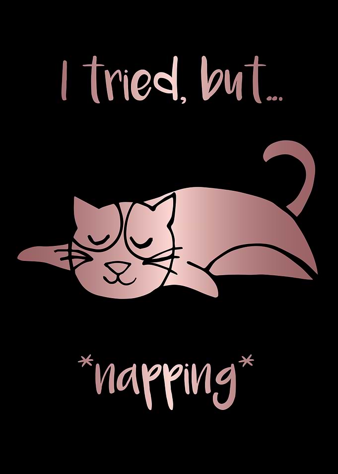 Nap Cat Animal 25