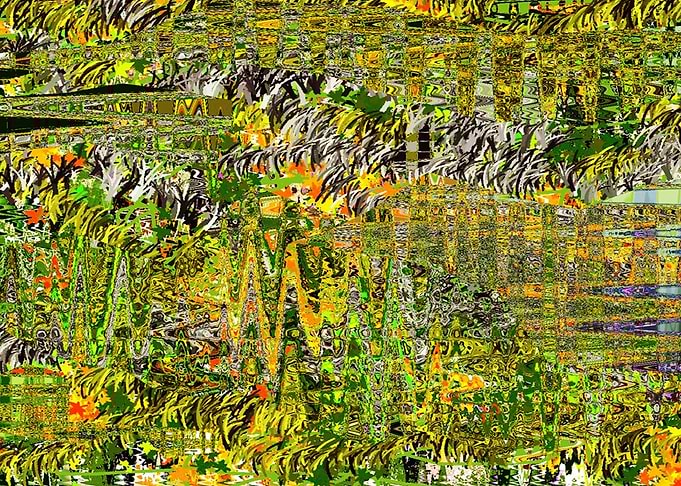Swamp Exploration