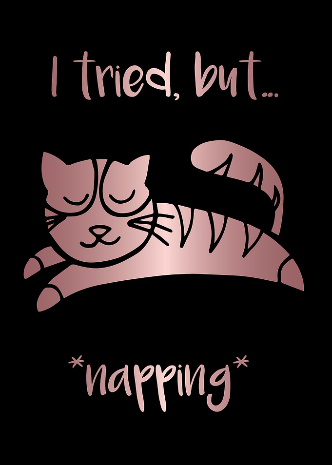 Nap Cat Animal 33