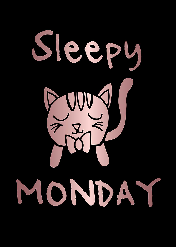 Funny Monday Cat 16