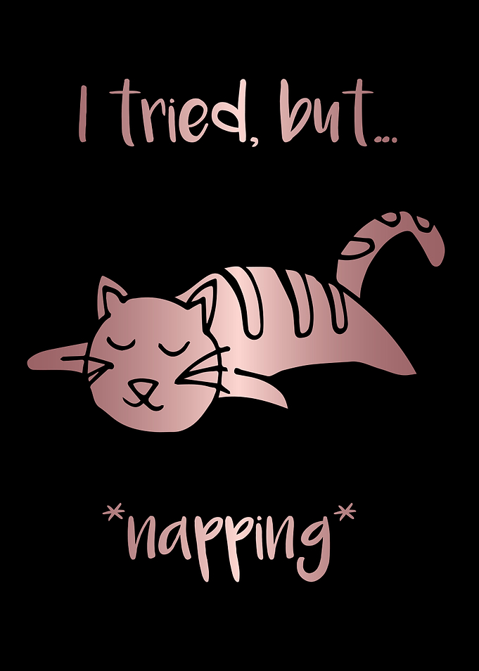 Nap Cat Animal 34