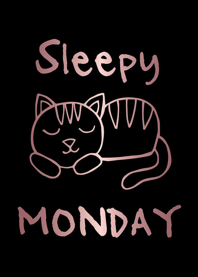 Funny Monday Cat 27