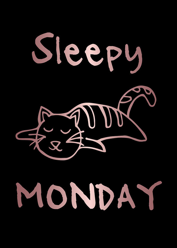 Funny Monday Cat 22