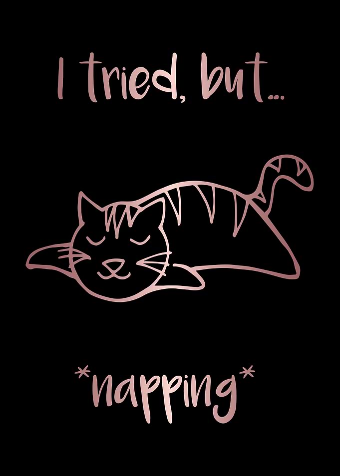 Nap Cat Animal 22