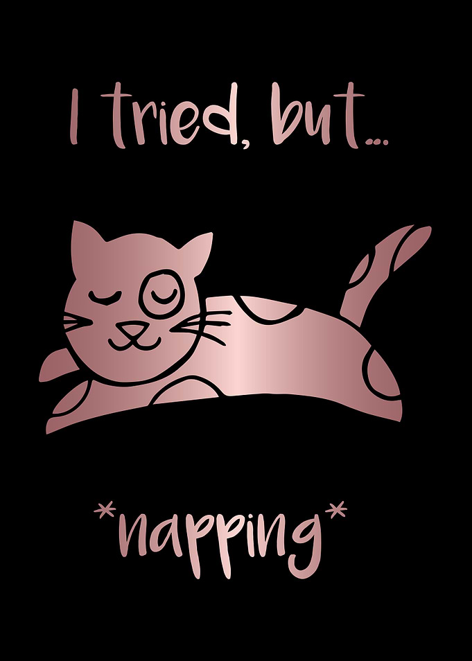 Nap Cat Animal 7