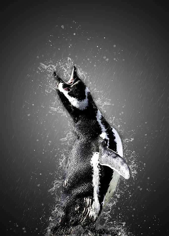le chant