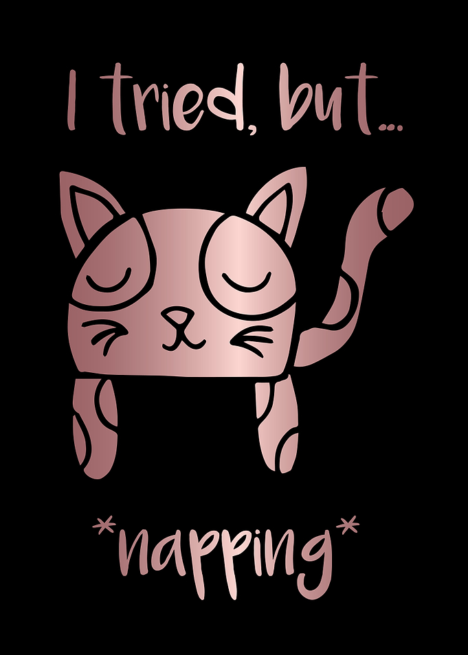 Nap Cat Animal 19