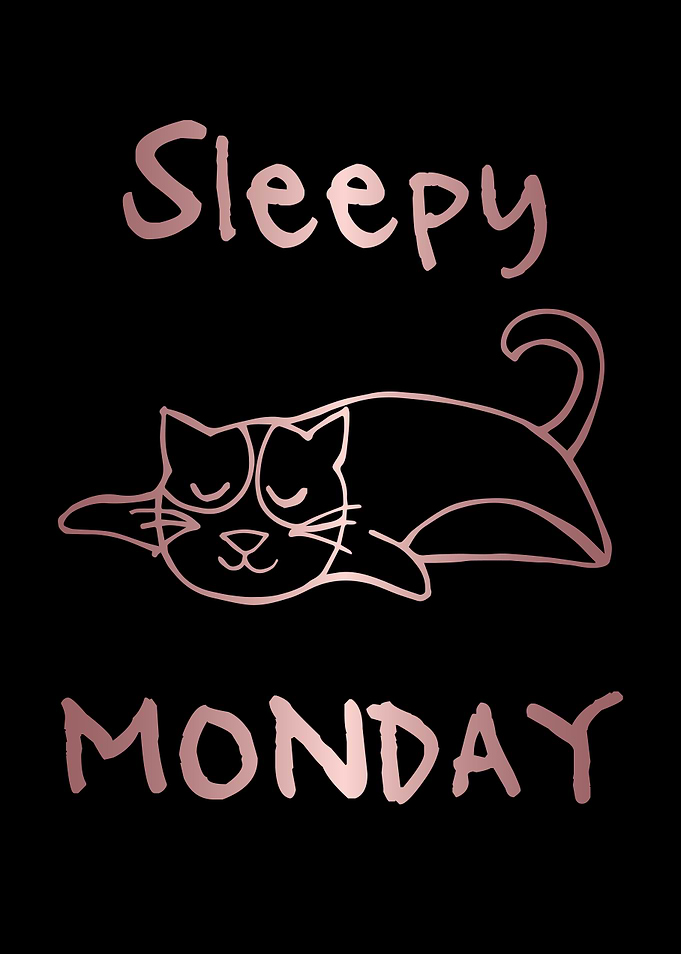 Funny Monday Cat 34