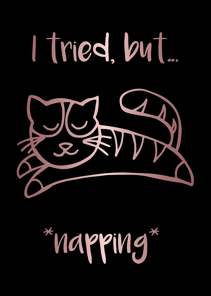Nap Cat Animal 36