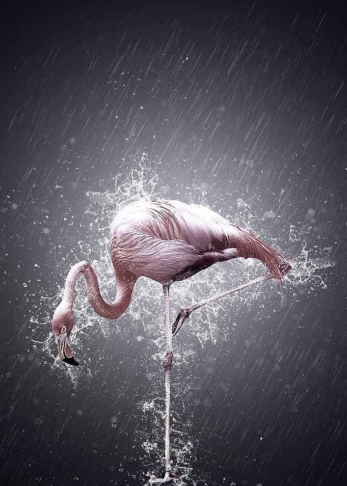 equilibre